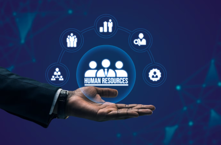 hire offshore developers